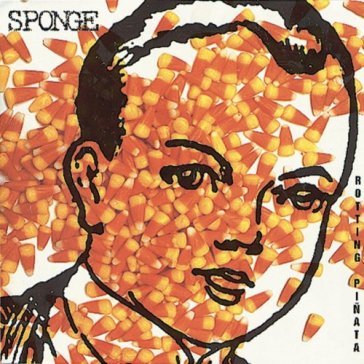 Rotting pinata - SPONGE