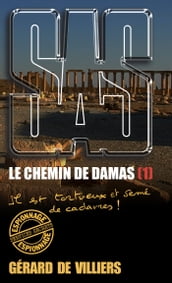 SAS 193 Le chemin de Damas T1