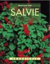 Salvie