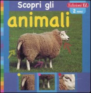 Scopri gli animali. Pecora