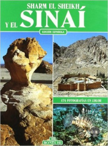 Sharm el Sheikh e il Sinai. Ediz. spagnola - Giovanna Magi