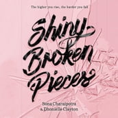 Shiny Broken Pieces