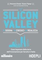 Silicon Valley