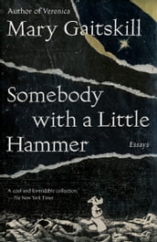 Somebody with a Little Hammer