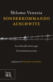 Sonderkommando Auschwitz