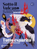 Sotto il vulcano. Idee/Narrazioni/Immaginari. Rivista trimestrale. 4: Tutto esaurito