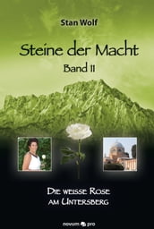 Steine der Macht Band 11