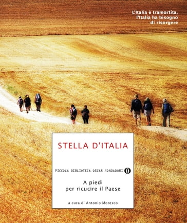 Stella d'Italia - AA.VV. Artisti Vari - Antonio Moresco