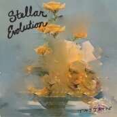 Stellar evolution - yellow vinyl