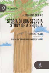 Storia di una sequoia / Story of a sequoia