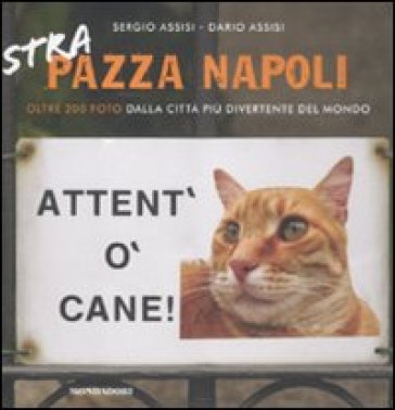 Strapazza Napoli. Oltre 200 foto dalla città più divertente del mondo. Ediz. illustrata. 2. - Sergio Assisi - Dario Assisi