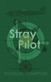 Stray Pilot