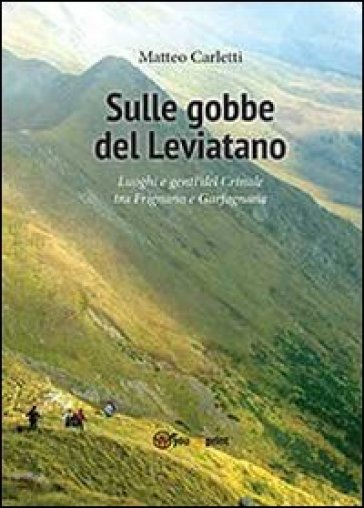 Sulle gobbe del Leviatano - Matteo Carletti