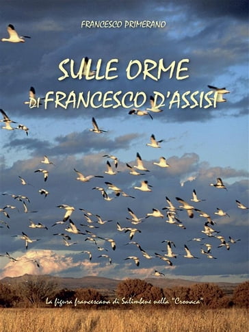Sulle orme di Francesco d'Assisi - Francesco Primerano