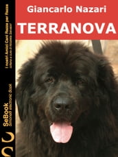 TERRANOVA