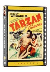 Tarzan E La Sua Compagna
