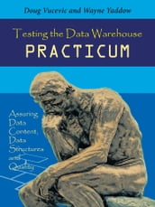 Testing the Data Warehouse Practicum