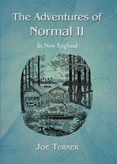 The Adventures of Normal Ii