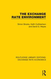 The Exchange Rate Environment