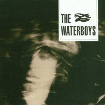 The waterboys - The Waterboys