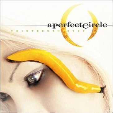 Thirteenth step - A Perfect Circle