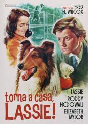 Torna A Casa Lassie