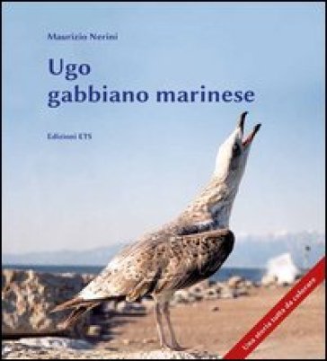 Ugo gabbiano marinese - Maurizio Nerini