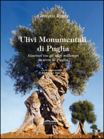 Ulivi monumentali di Puglia. Itinerari tra gli ulivi millenari in terra di Puglia. Ediz. illustrata - Giovanni Resta