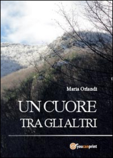 Un cuore tra gli altri - Maria Orlandi