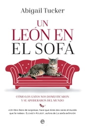 Un león en el sofá