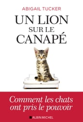 Un lion sur le canapé