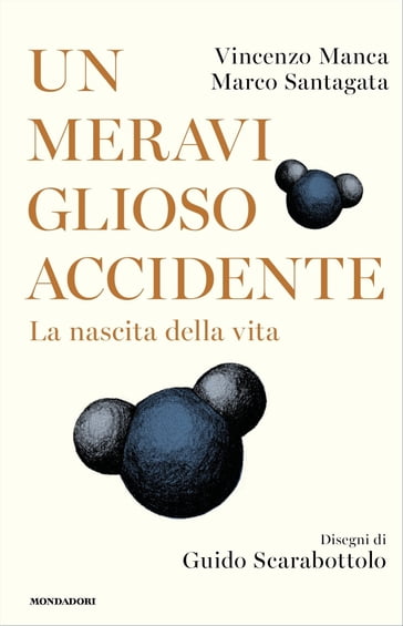 Un meraviglioso accidente - Santagata Marco - Vincenzo Manca