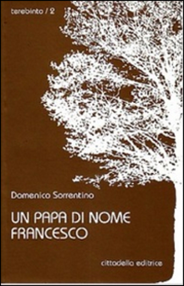 Un papa di nome Francesco - Domenico Sorrentino