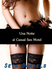 Una Notte al Casual Sex Motel