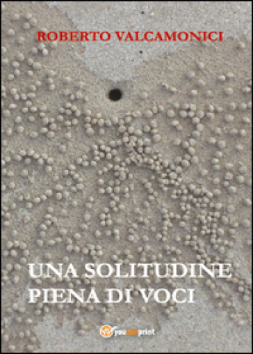 Una solitudine piena di voci - Roberto Valcamonici