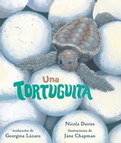 Una tortuguita