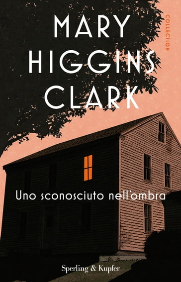 Uno sconosciuto nell'ombra - Mary Higgins Clark