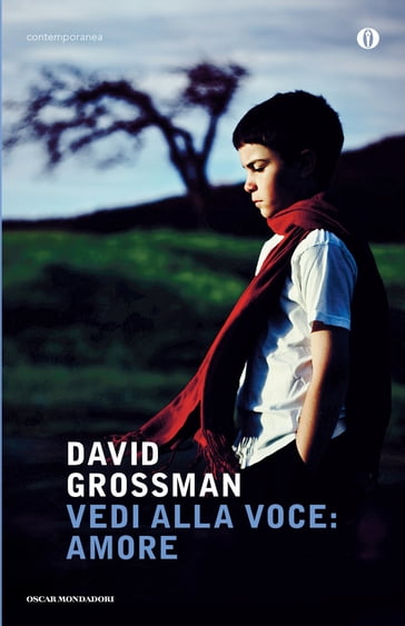 Vedi alla voce: amore - David Grossman - Elena Loewenthal