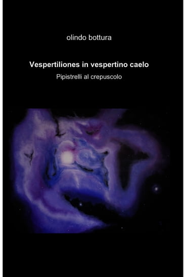 Vespertiliones in vespertino caelo - Olindo Bottura