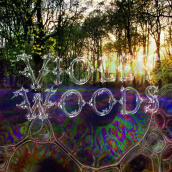 Violet woods