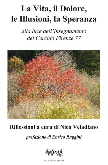 La Vita, il Dolore, le Illusioni, la Speranza - Nico Veladiano