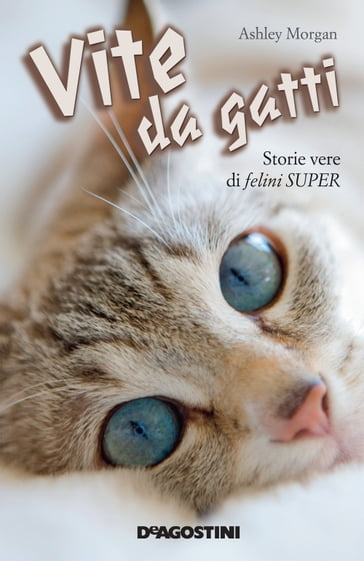 Vite da gatti - Ashley Morgan