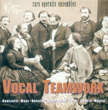 Vocal teamwork (rari ensemble d'opera)
