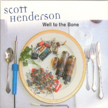 Well to the bone - Scott Henderson
