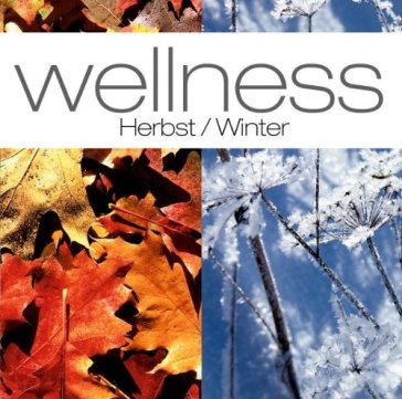 Wellness:herbst/winter - AA.VV. Artisti Vari