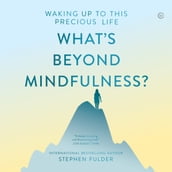 What s Beyond Mindfulness?