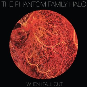 When i fall out - PHANTOM FAMILY HALO