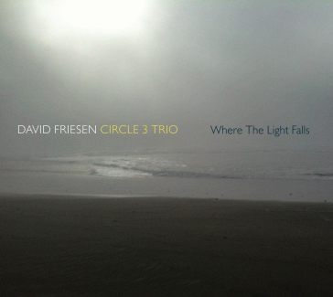 Where the lights fall - Friesen David & Circ
