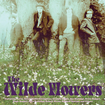 Wilde flowers - The Wilde Flowers