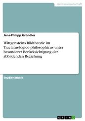 Wittgensteins Bildtheorie im Tractatus-logico philosophicus unter besonderer Berücksichtigung der abbildenden Beziehung